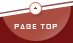 Page Top